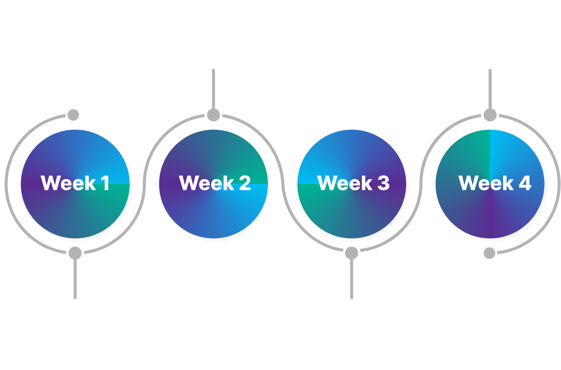 Implementation Roadmap